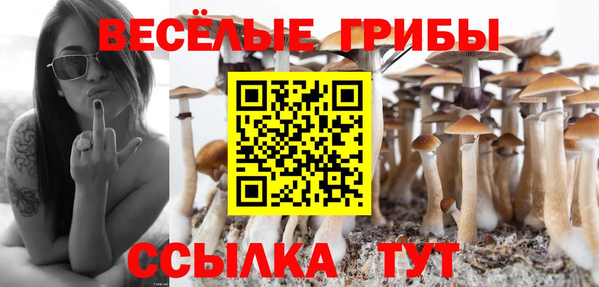 Галлюциногенные грибы MAGIC MUSHROOMS  купить наркоту  Новочеркасск  Вход с VPN 